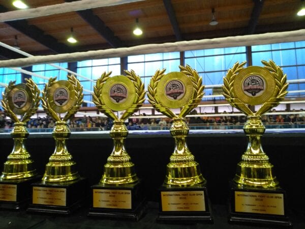 Ιωάννης Θεοφάνους - Οργάνωση Event : Boxing - Kickboxing - Muaythai - Striking M.M.A.